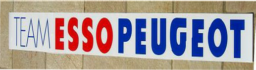 pare-soleil-team-peugeot-esso